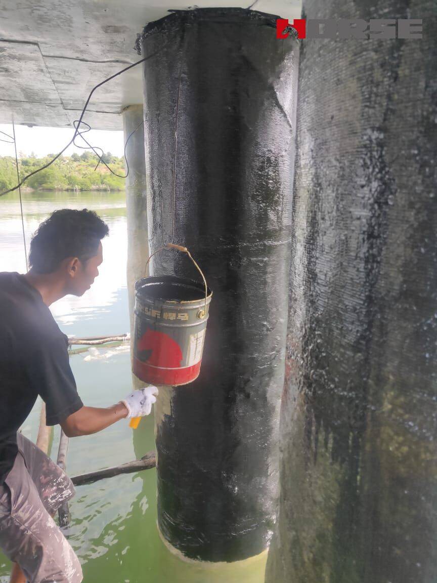 Jetty Repair With Carbon Fiber Sheet