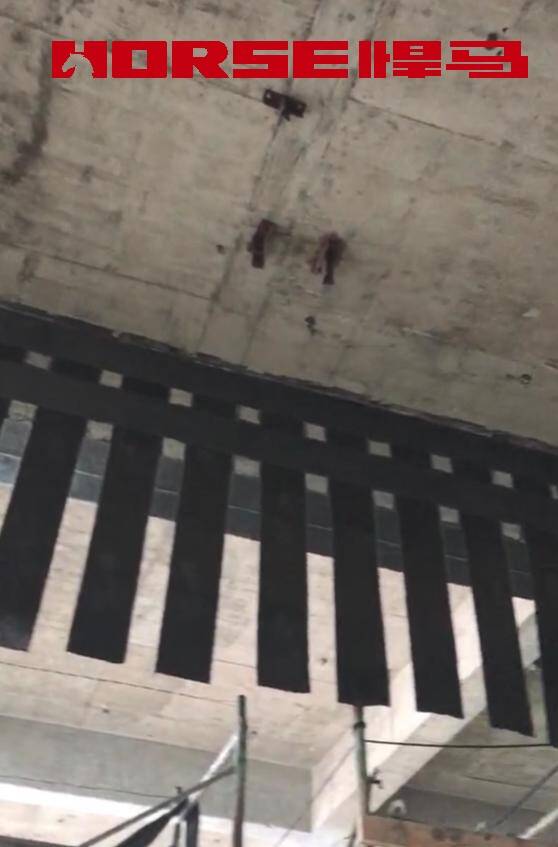 Carbon Fiber Reinforcement